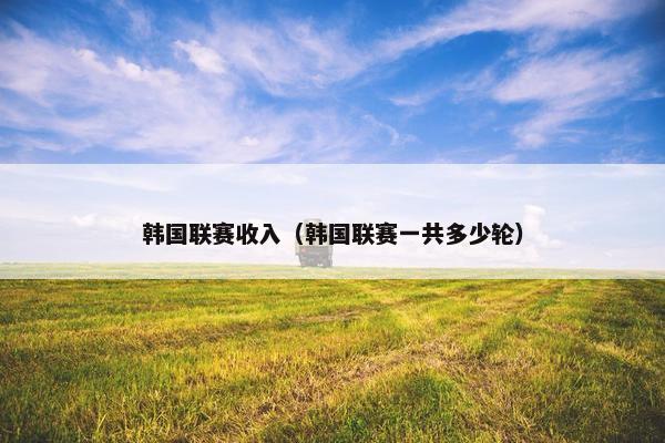 韩国联赛收入（韩国联赛一共多少轮）