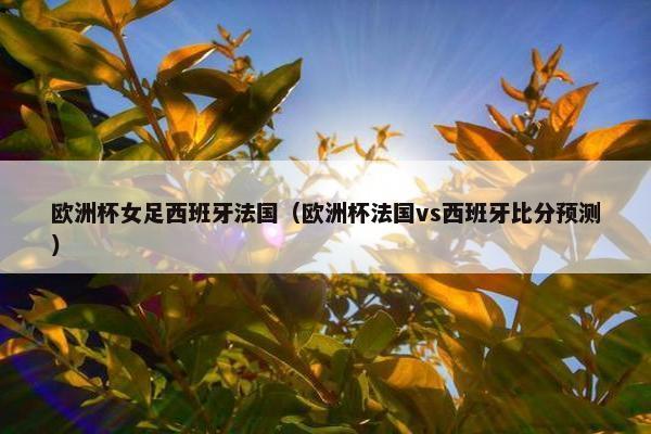 欧洲杯女足西班牙法国（欧洲杯法国vs西班牙比分预测）