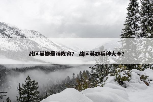 战区英雄最强阵容？ 战区英雄兵种大全？