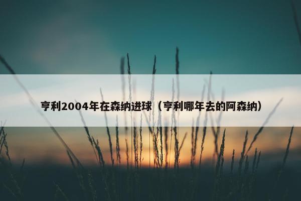 亨利2004年在森纳进球（亨利哪年去的阿森纳）