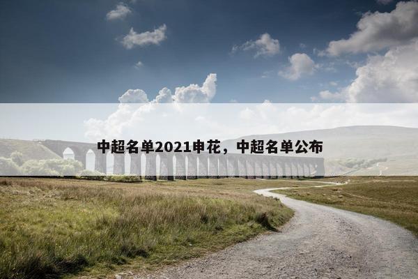 中超名单2021申花，中超名单公布