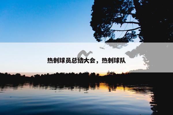 热刺球员总结大会，热刺球队