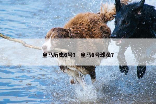 皇马历史6号？ 皇马6号球员？