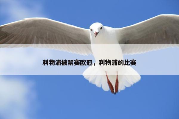 利物浦被禁赛欧冠，利物浦的比赛