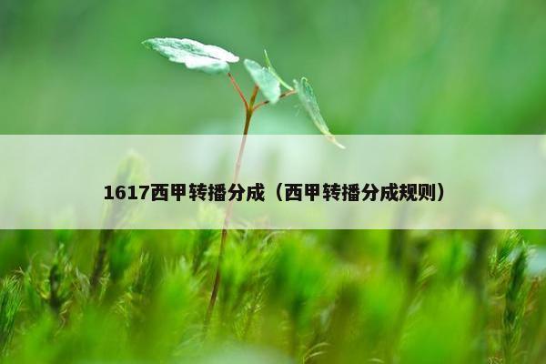 1617西甲转播分成（西甲转播分成规则）