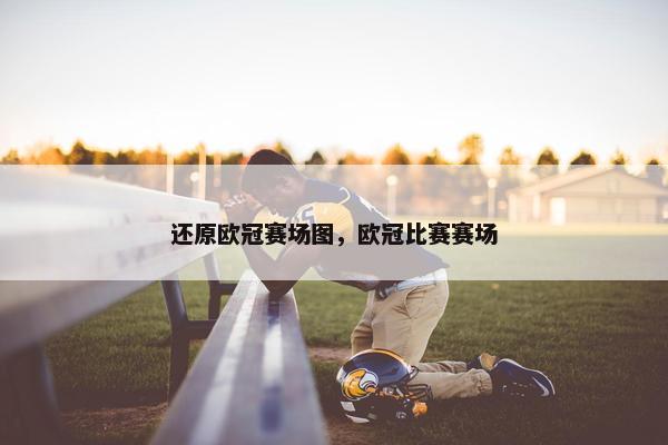 还原欧冠赛场图，欧冠比赛赛场