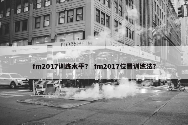 fm2017训练水平？ fm2017位置训练法？