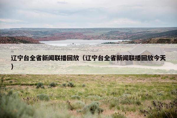 辽宁台全省新闻联播回放（辽宁台全省新闻联播回放今天）