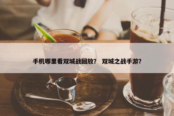 手机哪里看双城战回放？ 双城之战手游？