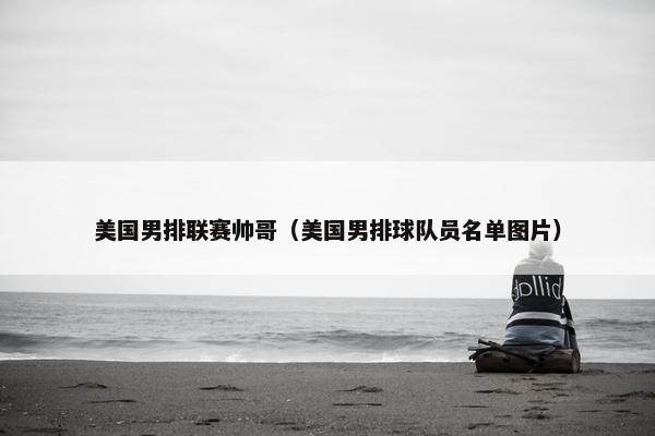 美国男排联赛帅哥（美国男排球队员名单图片）