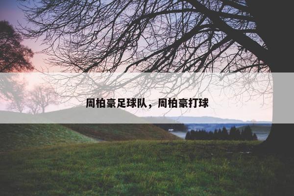周柏豪足球队，周柏豪打球