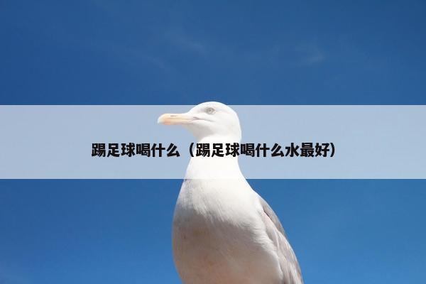 踢足球喝什么（踢足球喝什么水最好）