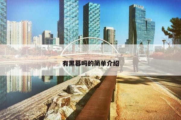 有黑幕吗的简单介绍