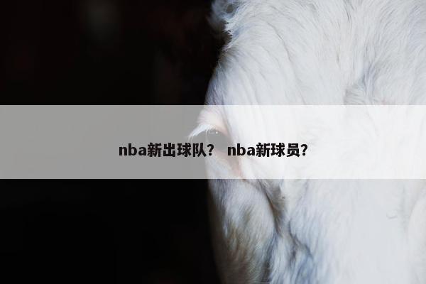 nba新出球队？ nba新球员？