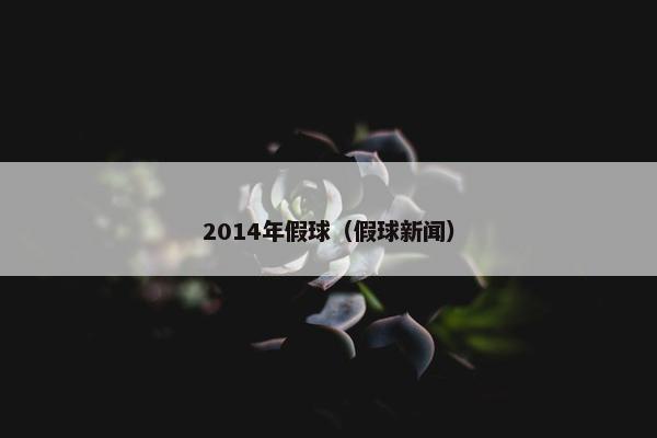 2014年假球（假球新闻）