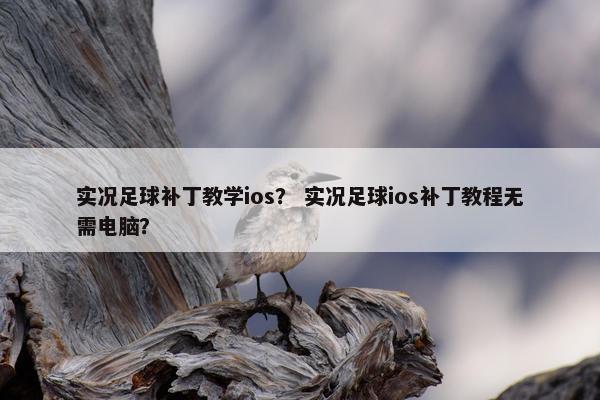 实况足球补丁教学ios？ 实况足球ios补丁教程无需电脑？
