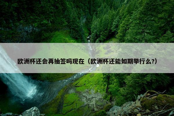 欧洲杯还会再抽签吗现在（欧洲杯还能如期举行么?）