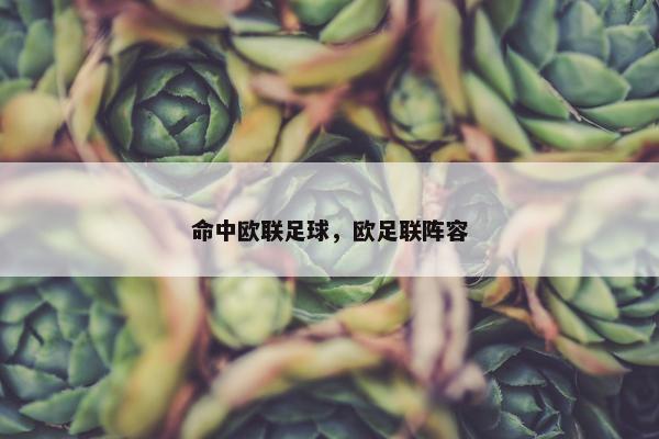 命中欧联足球，欧足联阵容