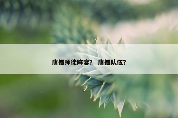唐僧师徒阵容？ 唐僧队伍？