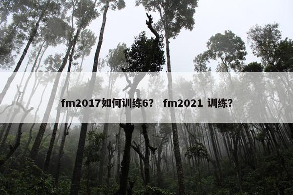 fm2017如何训练6？ fm2021 训练？