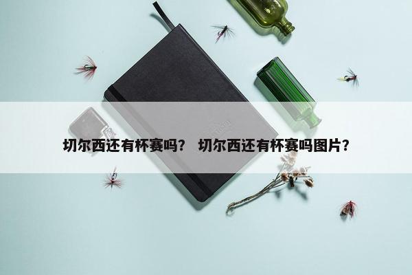 切尔西还有杯赛吗？ 切尔西还有杯赛吗图片？