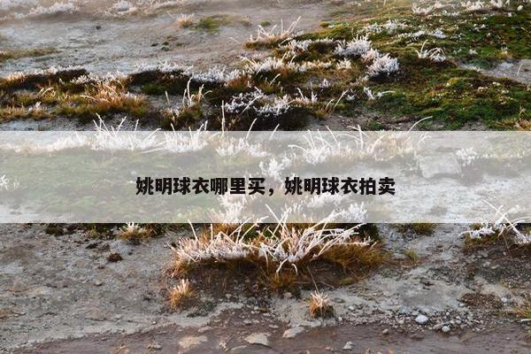 姚明球衣哪里买，姚明球衣拍卖