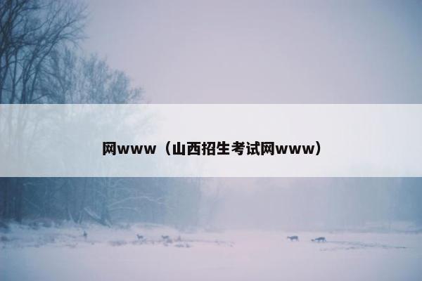 网www（山西招生考试网www）
