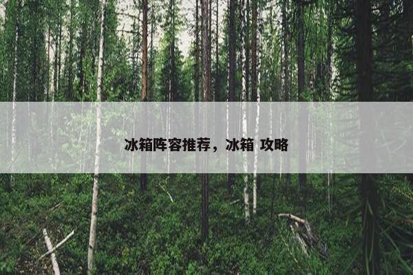 冰箱阵容推荐，冰箱 攻略