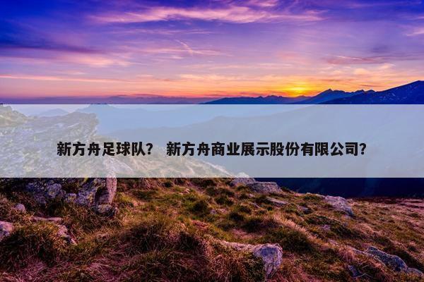 新方舟足球队？ 新方舟商业展示股份有限公司？