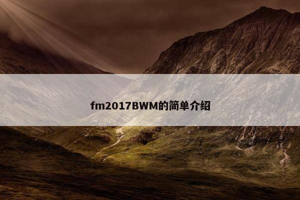 fm2017BWM的简单介绍