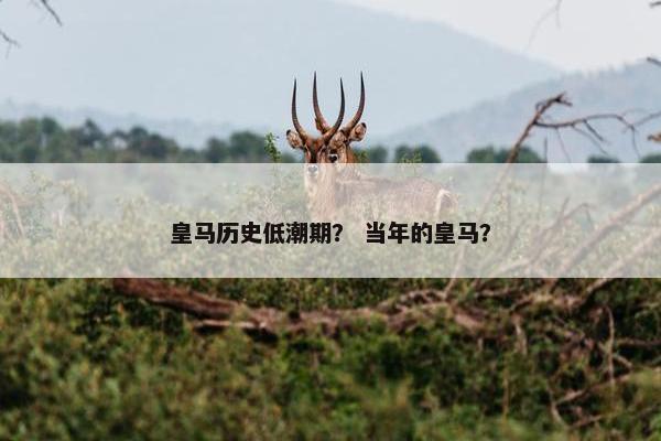 皇马历史低潮期？ 当年的皇马？