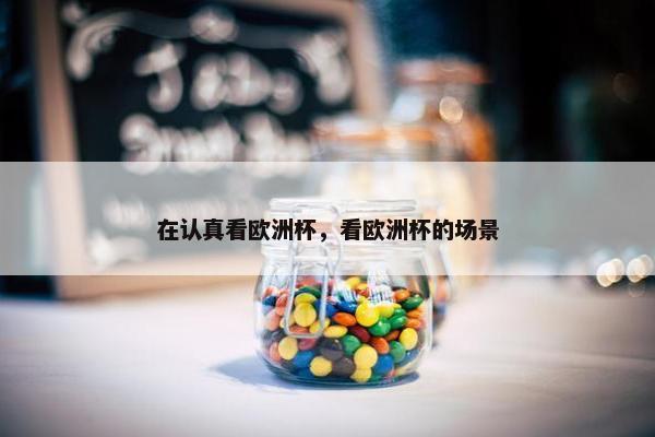 在认真看欧洲杯，看欧洲杯的场景