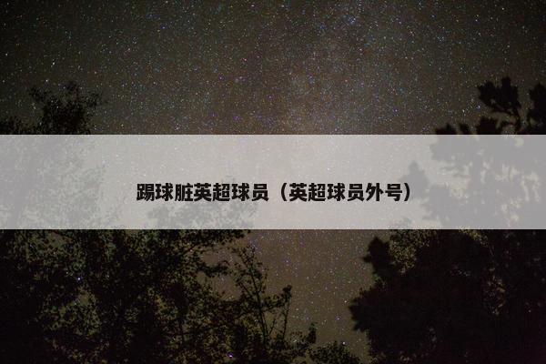 踢球脏英超球员（英超球员外号）