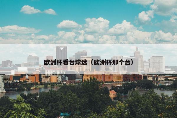 欧洲杯看台球迷（欧洲杯那个台）