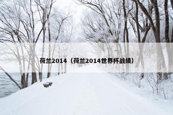 荷兰2014（荷兰2014世界杯战绩）