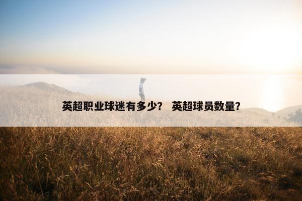 英超职业球迷有多少？ 英超球员数量？
