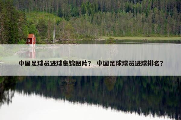中国足球员进球集锦图片？ 中国足球球员进球排名？