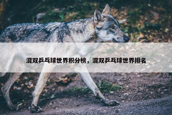 混双乒乓球世界积分榜，混双乒乓球世界排名