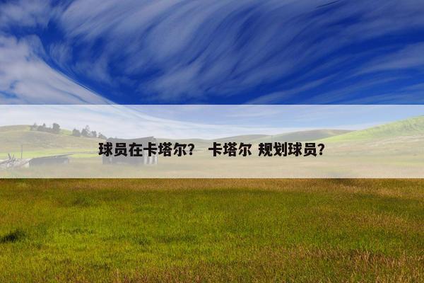 球员在卡塔尔？ 卡塔尔 规划球员？