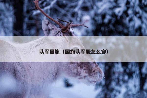 队军国旗（国旗队军服怎么穿）