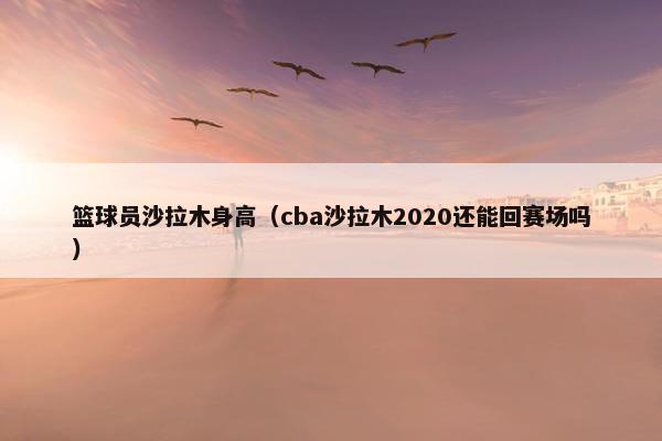 篮球员沙拉木身高（cba沙拉木2020还能回赛场吗）