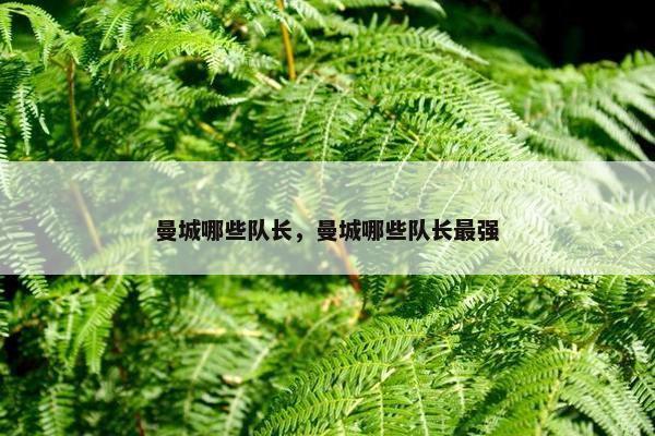 曼城哪些队长，曼城哪些队长最强