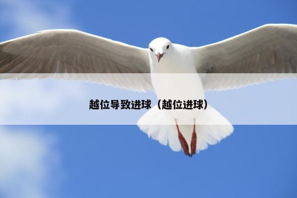 越位导致进球（越位进球）