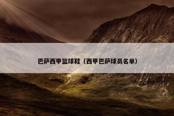 巴萨西甲篮球鞋（西甲巴萨球员名单）