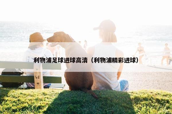 利物浦足球进球高清（利物浦精彩进球）