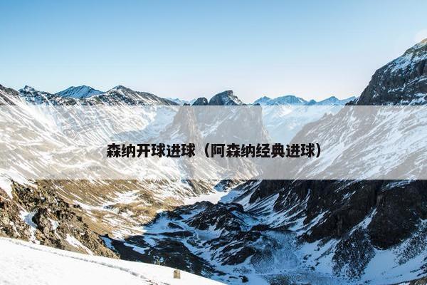 森纳开球进球（阿森纳经典进球）