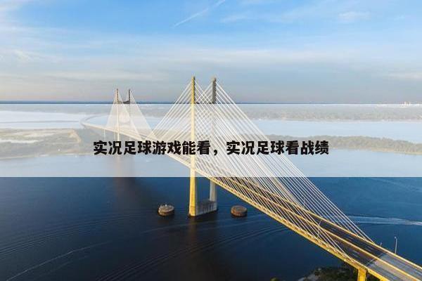 实况足球游戏能看，实况足球看战绩