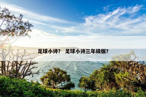 足球小诗？ 足球小诗三年级版？