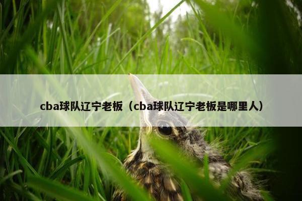 cba球队辽宁老板（cba球队辽宁老板是哪里人）