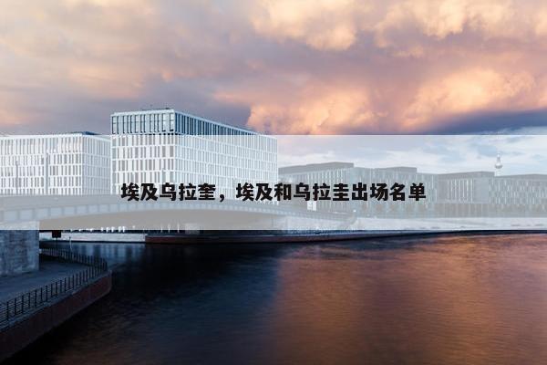 埃及乌拉奎，埃及和乌拉圭出场名单